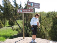 mt33