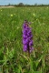 Jumalak_pp_Puhtus_P5250219