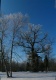 laelatu_91_pano