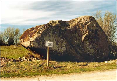 Liukivi Ridasel